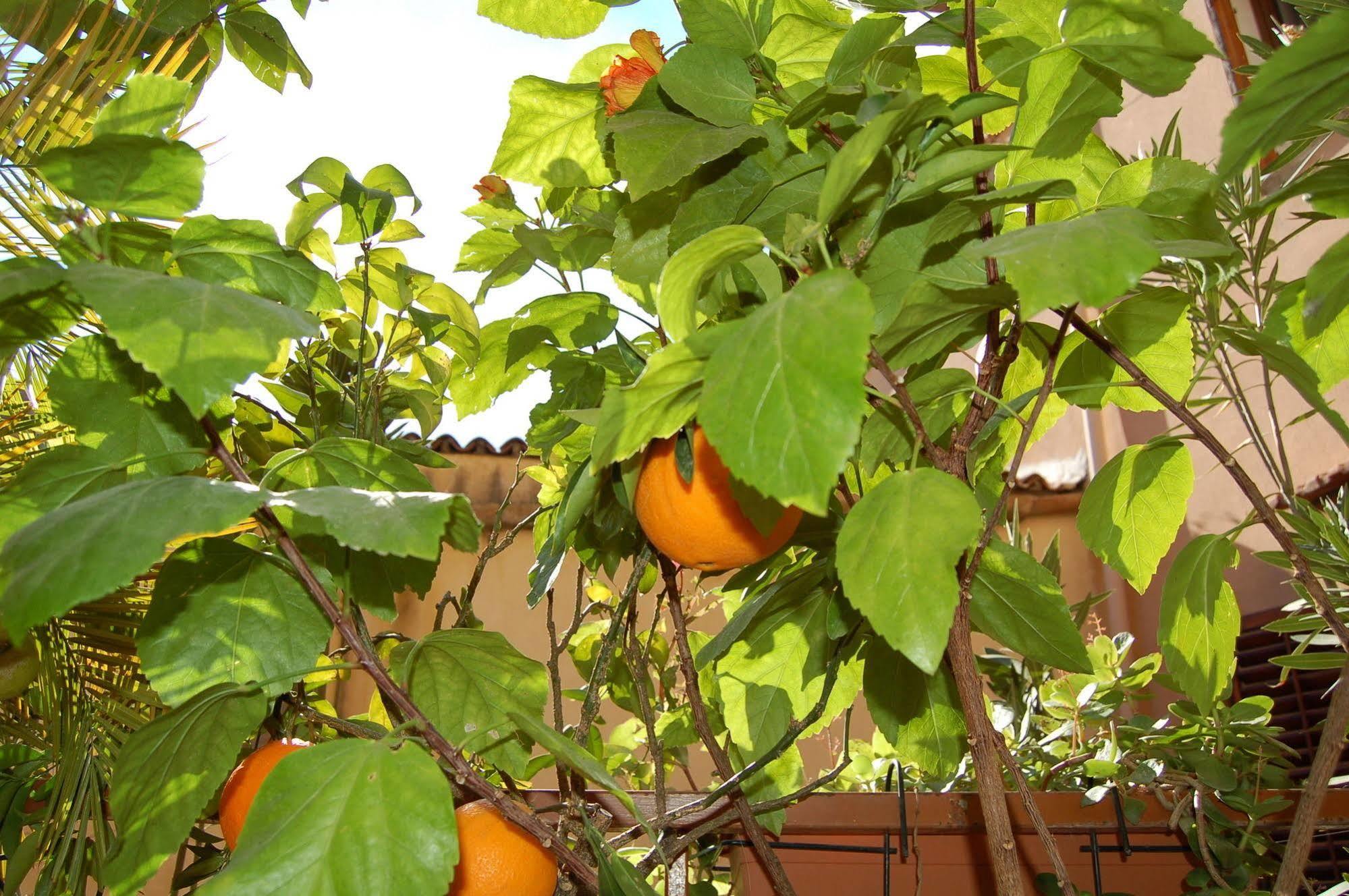 Al Vicoletto Apartment Agrigento Exterior photo